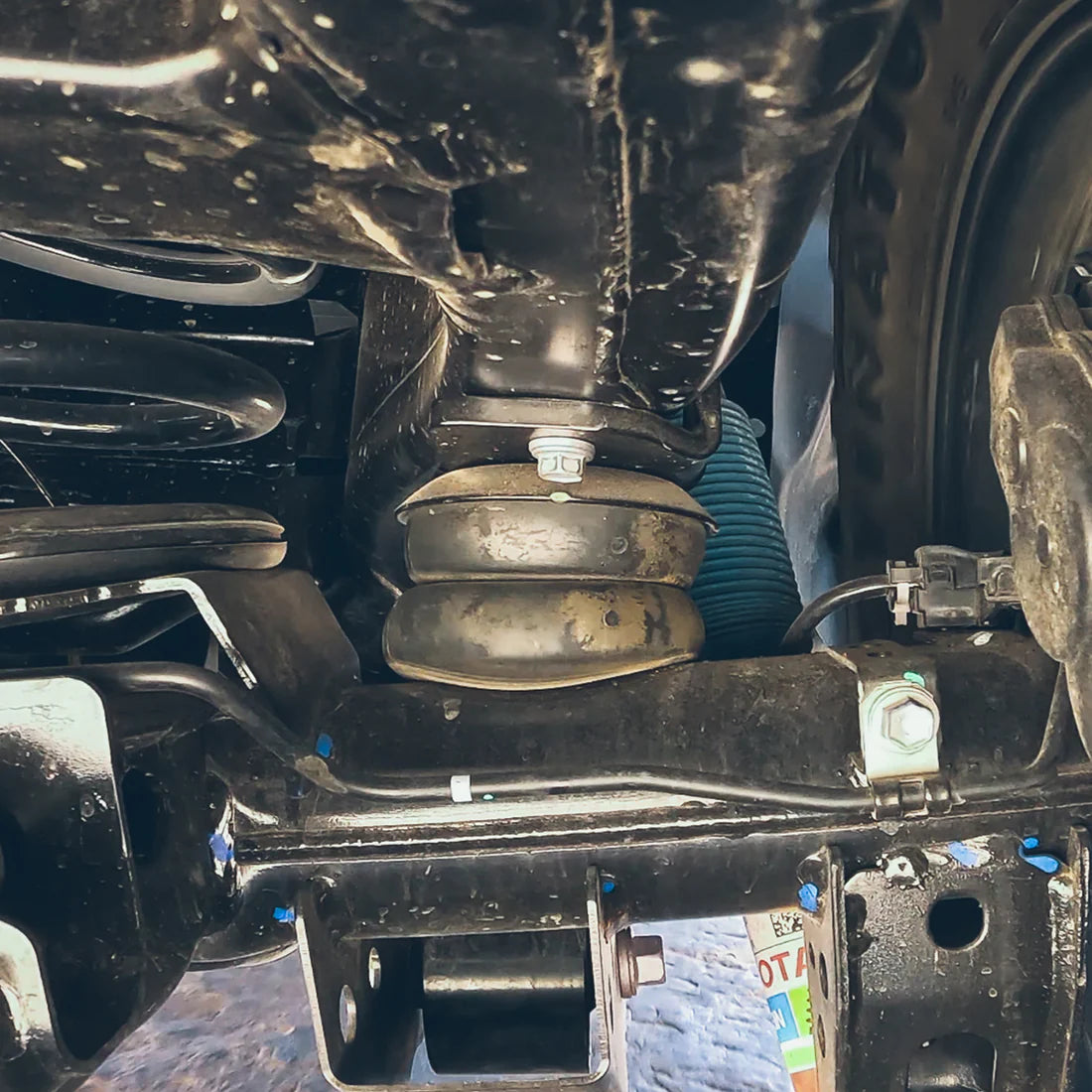 Timbren - 4th Gen Tacoma, 3rd Gen Tundra & Land Cruiser 250 Active Off-Road Bumpstops - Rear Kit image 1