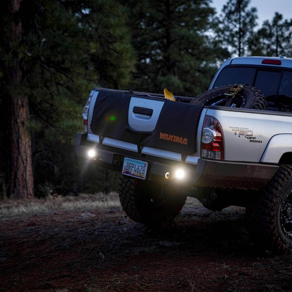 FLEX ERA® 1 - Standard Backup Light Kit - # 520