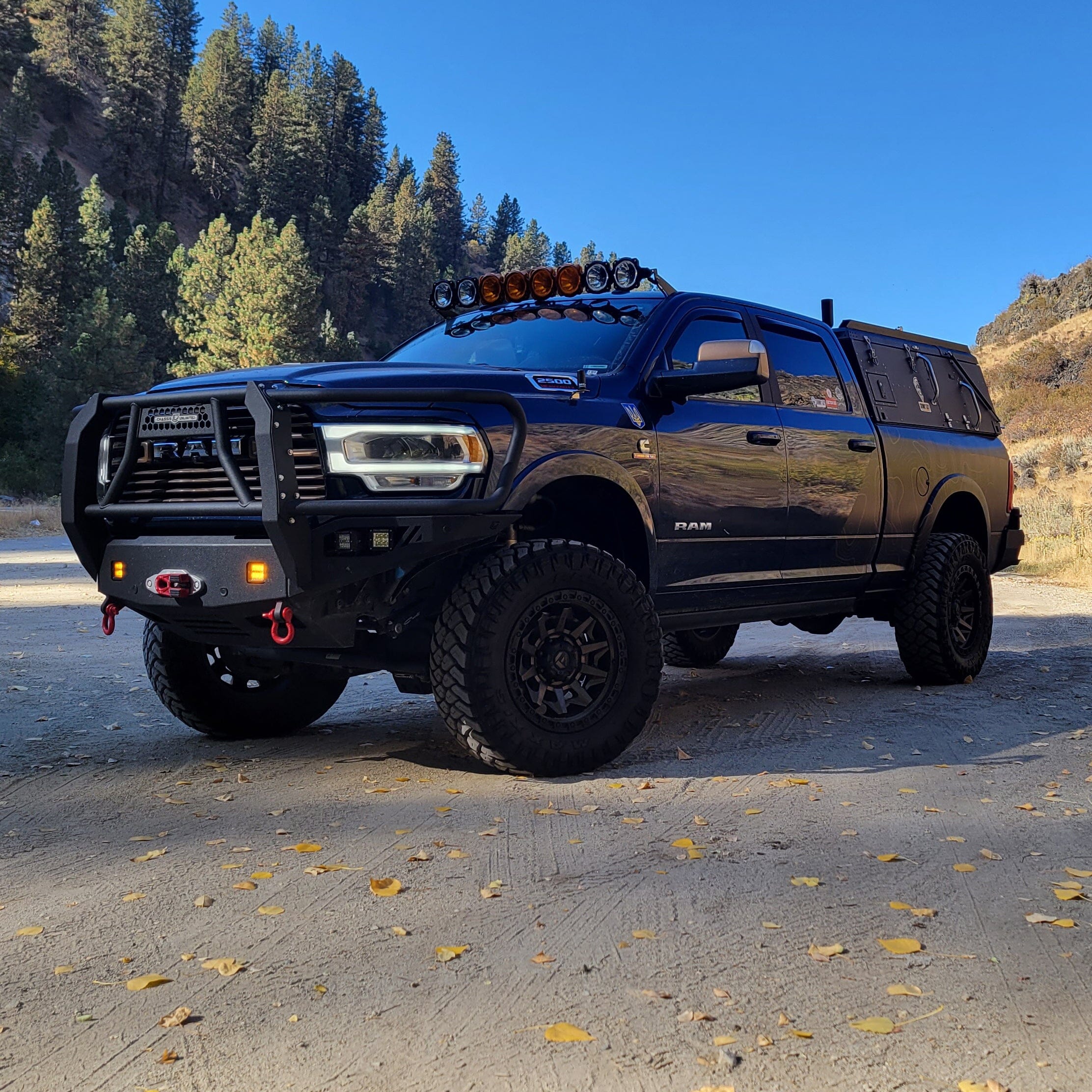 quality guard bumper