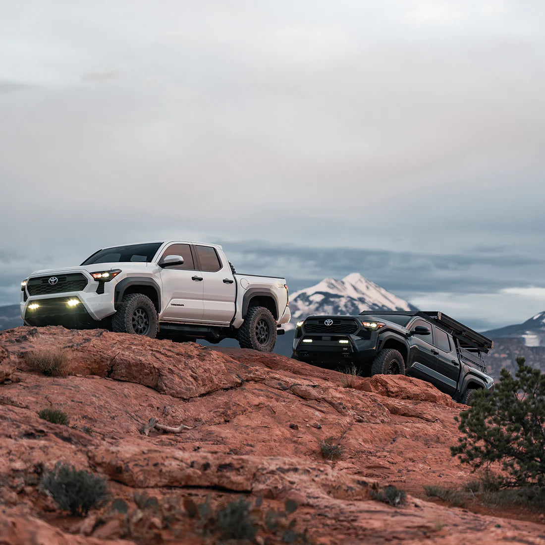 Timbren - 4th Gen Tacoma, 3rd Gen Tundra & Land Cruiser 250 Active Off-Road Bumpstops - Rear Kit image 6