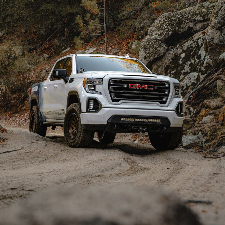 the best prolite bumper